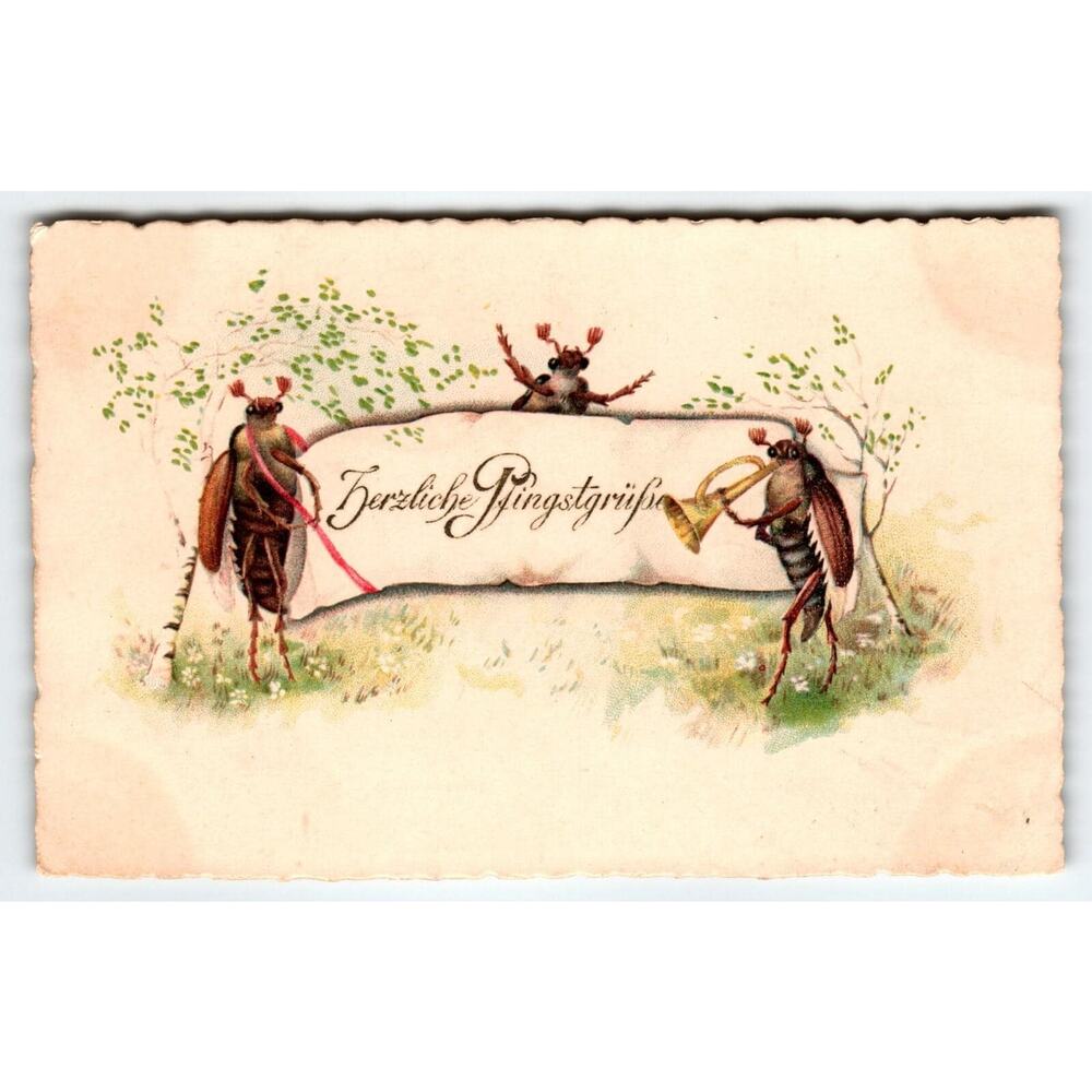 Musicians Bugs Horn Band Fantasy Postcard Cockroach Beetles Anthropomorphic